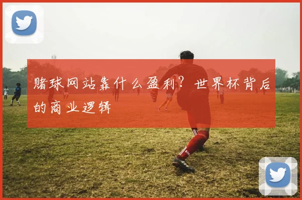 赌球网站靠什么盈利？世界杯背后的商业逻辑