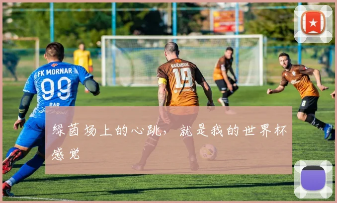 绿茵场上的心跳，就是我的世界杯感觉
