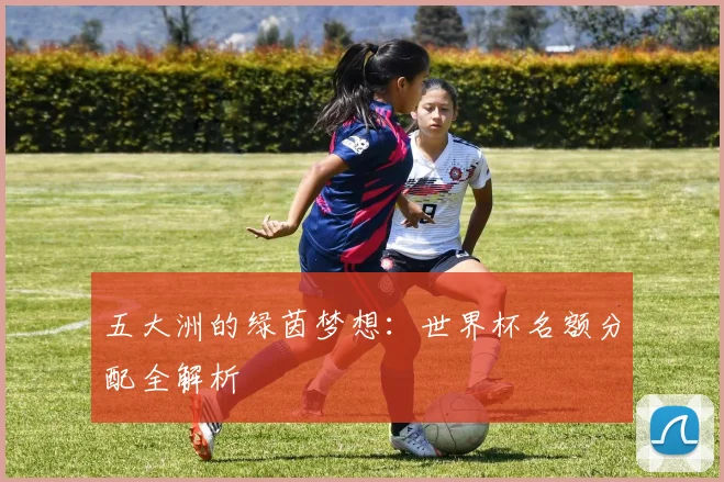 五大洲的绿茵梦想：世界杯名额分配全解析