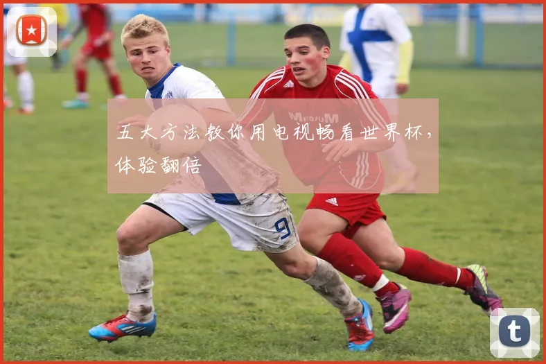 五大方法教你用电视畅看世界杯，体验翻倍