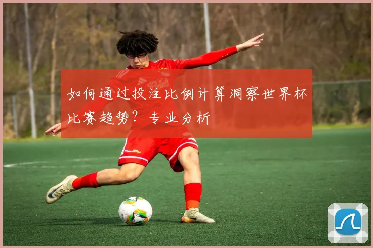 如何通过投注比例计算洞察世界杯比赛趋势？专业分析