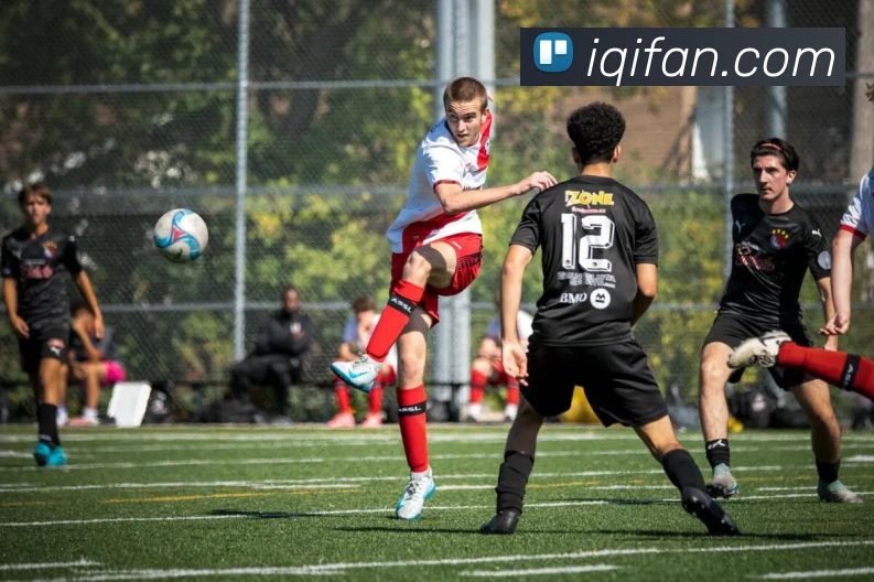 kaiyun网站登录入口发展历程